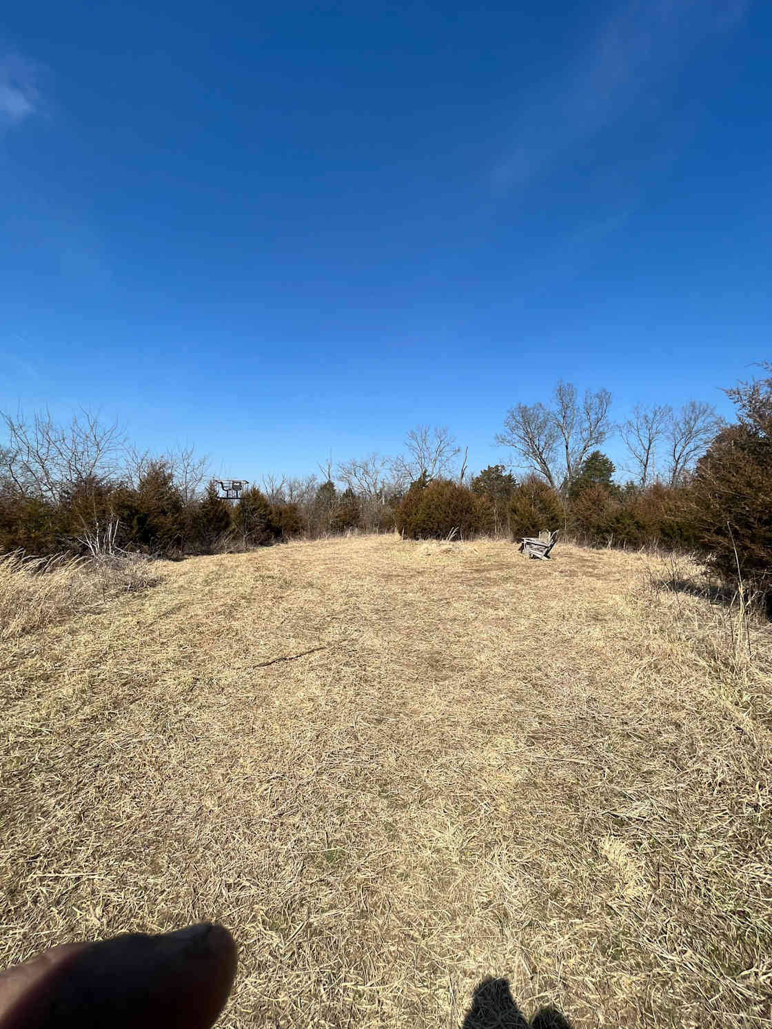 Star Creek Farm Hipcamp in Lawrenceburg, Kentucky