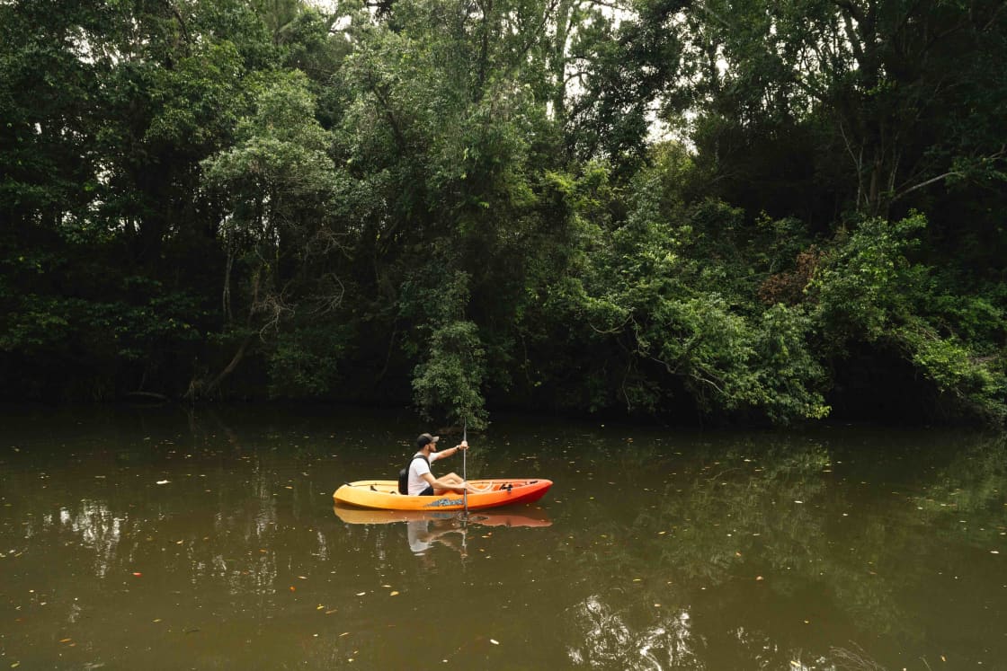 Kayaking through the creek