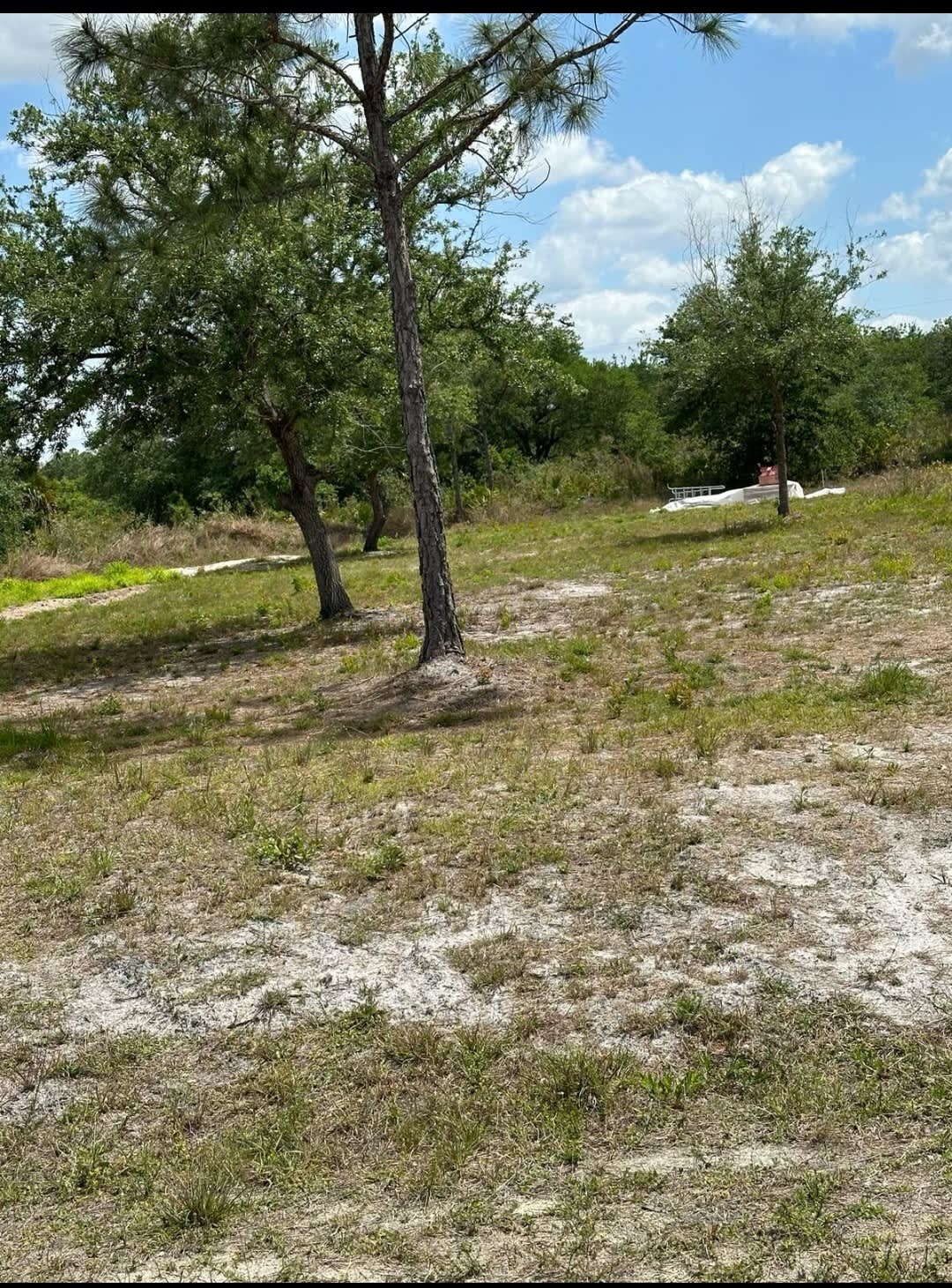 Cleared Half Acre Lot In Quiet Area