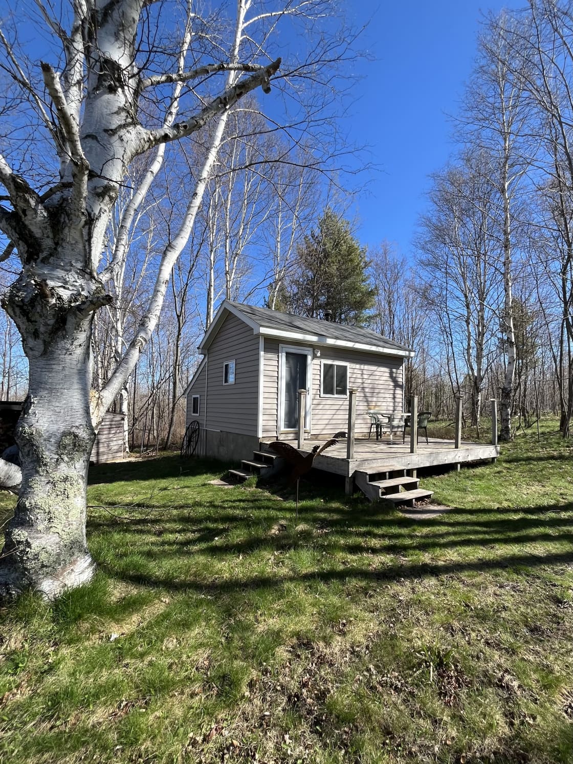 Birch Top ~ Rustic Cabin