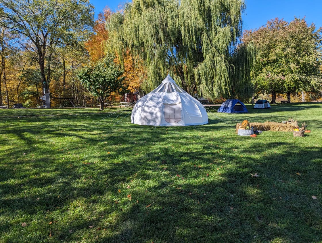 175 Acre Farm: Glamp Tents & Cabin