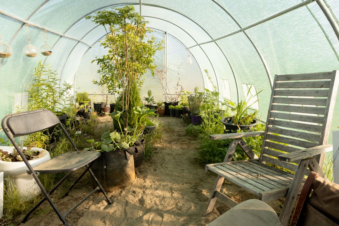 The greenhouse is another lovely place to hang out.