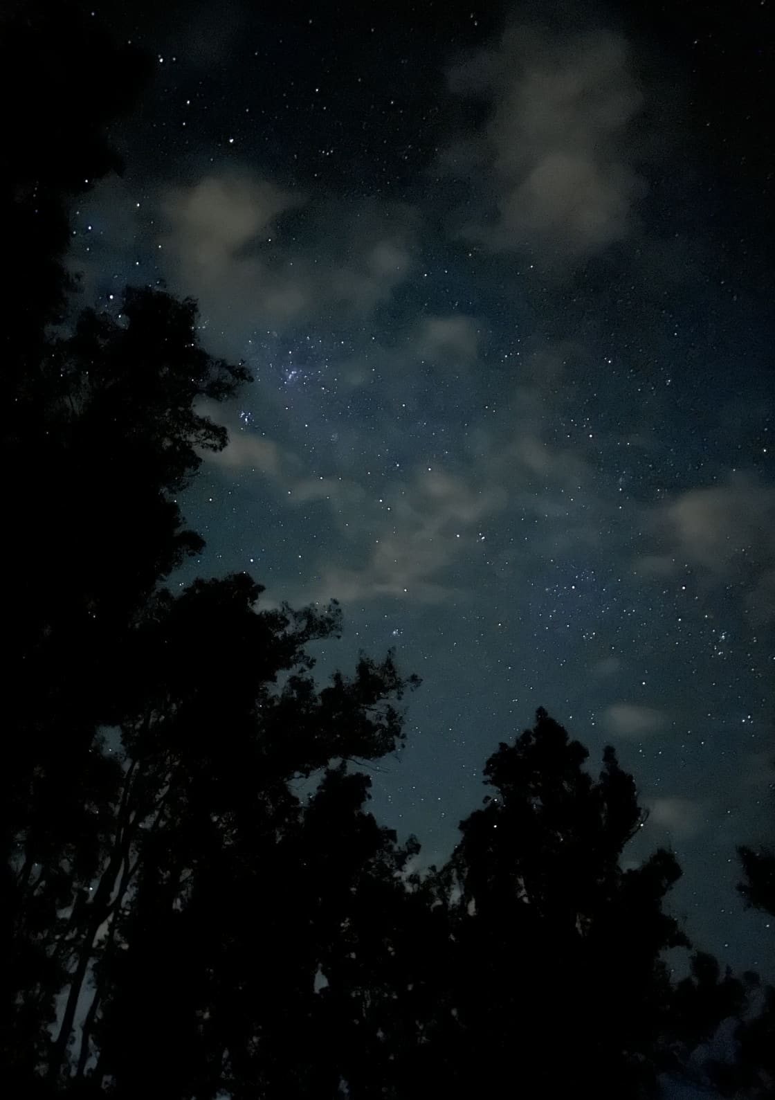 Stargazers night sky!