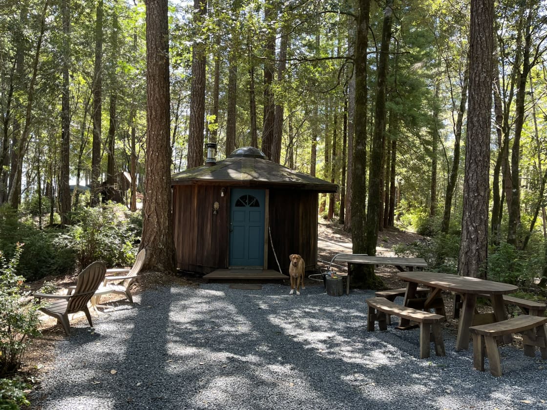 Pickle Barrel Cabin and Camp