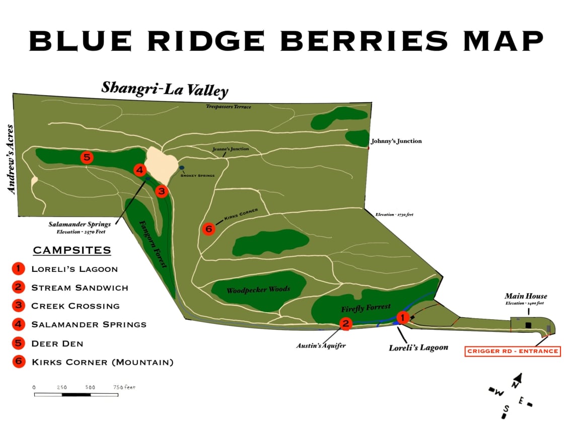 Blue Ridge Berries