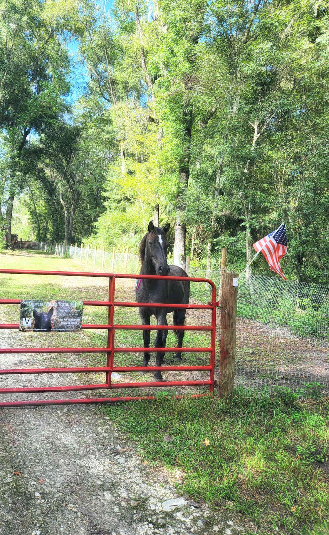 Cypress Valley Farm Hipcamp in Reddick, Florida