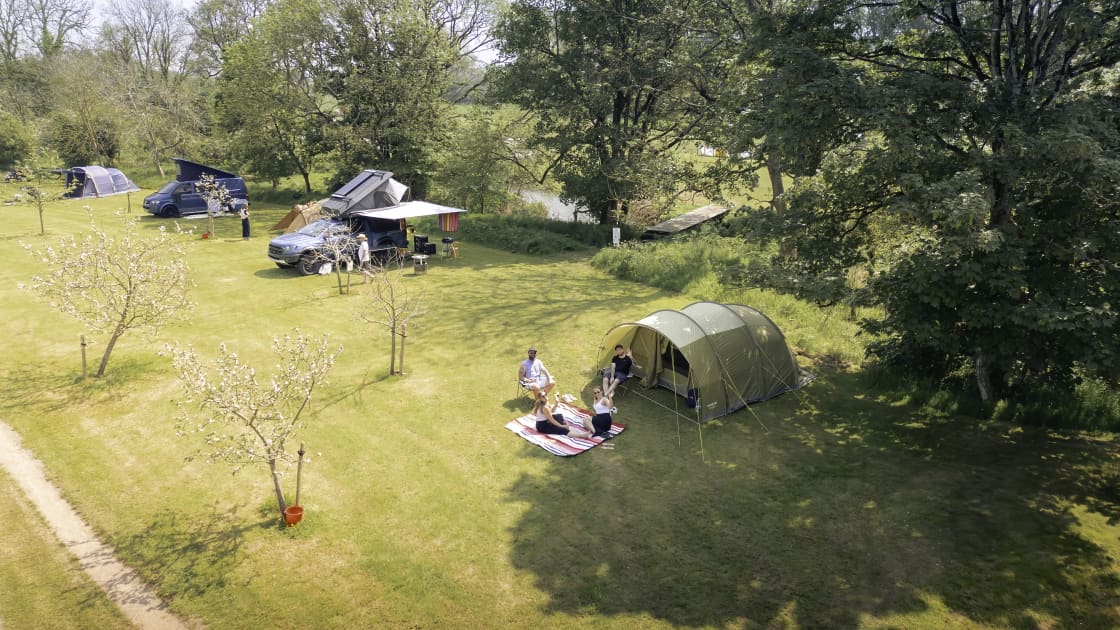 Sheltered by the large tree's, The Orchard gave plenty of lovely camping spots.