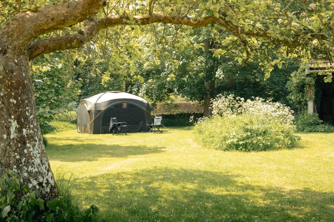 The Orchard offers many secluded camping spots.