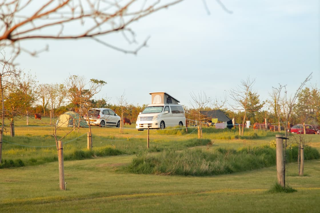 The Orchard has plenty of space for campers and cars.