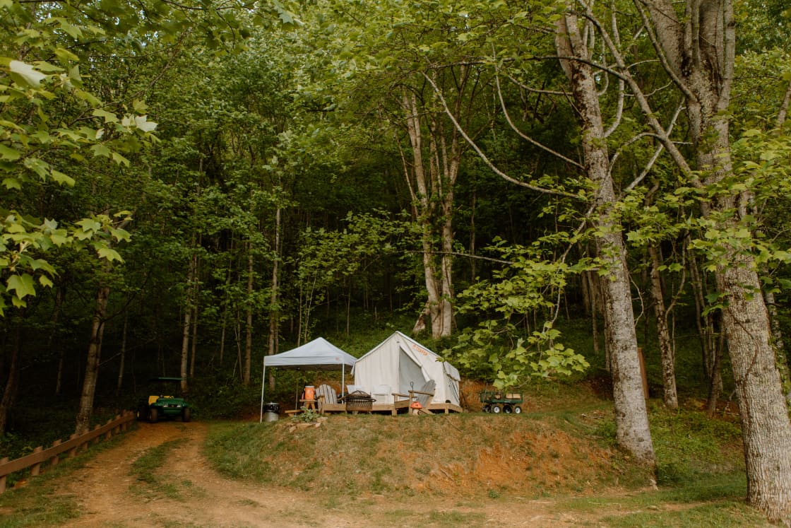 the campsite 