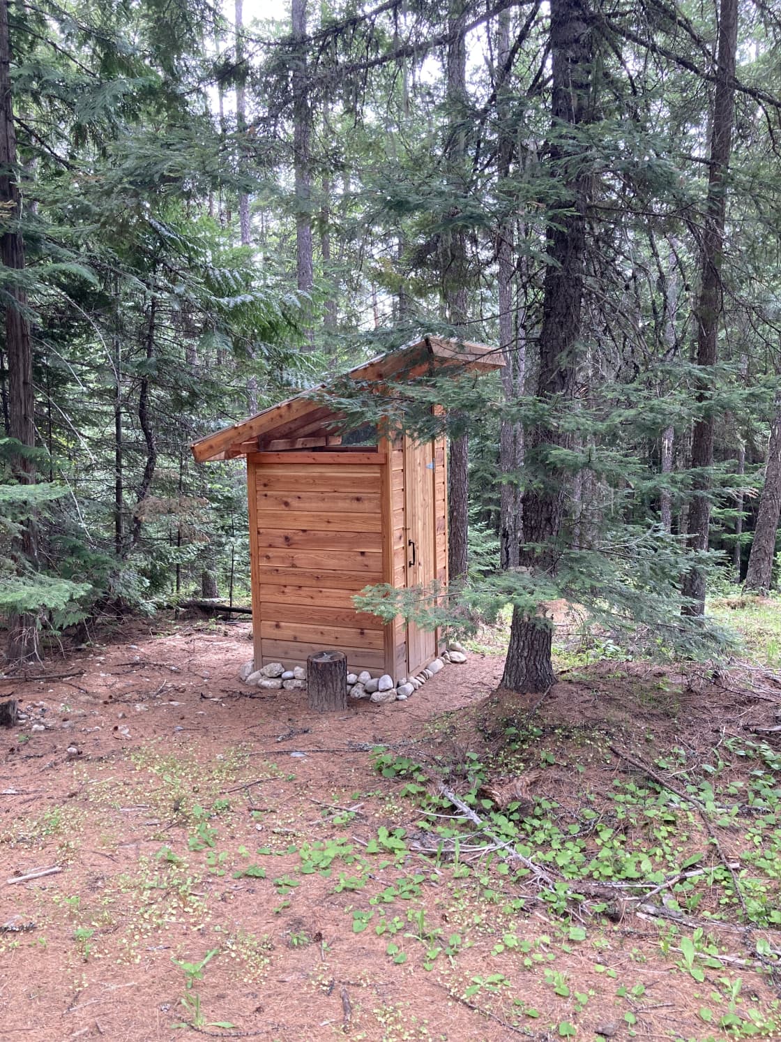 Quiet Forest Yurt