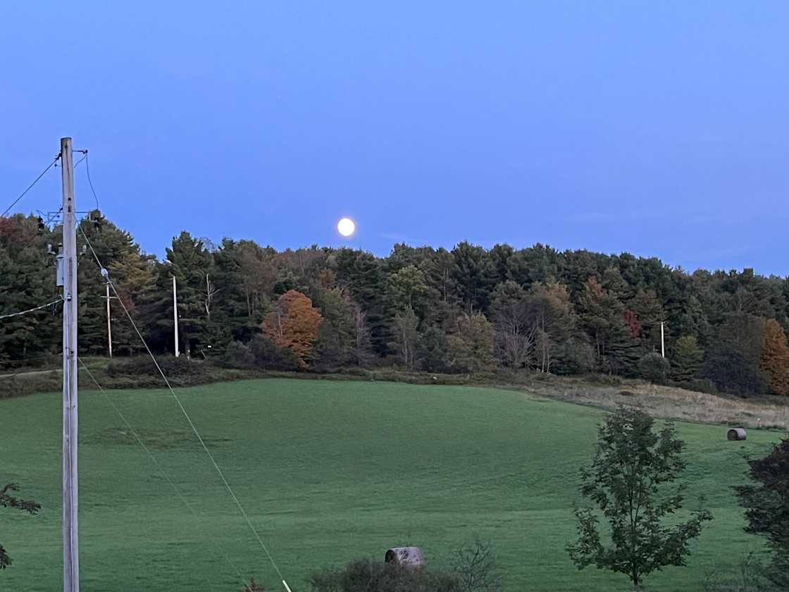 Emerald Farm Hipcamp in Bovina Center, New York