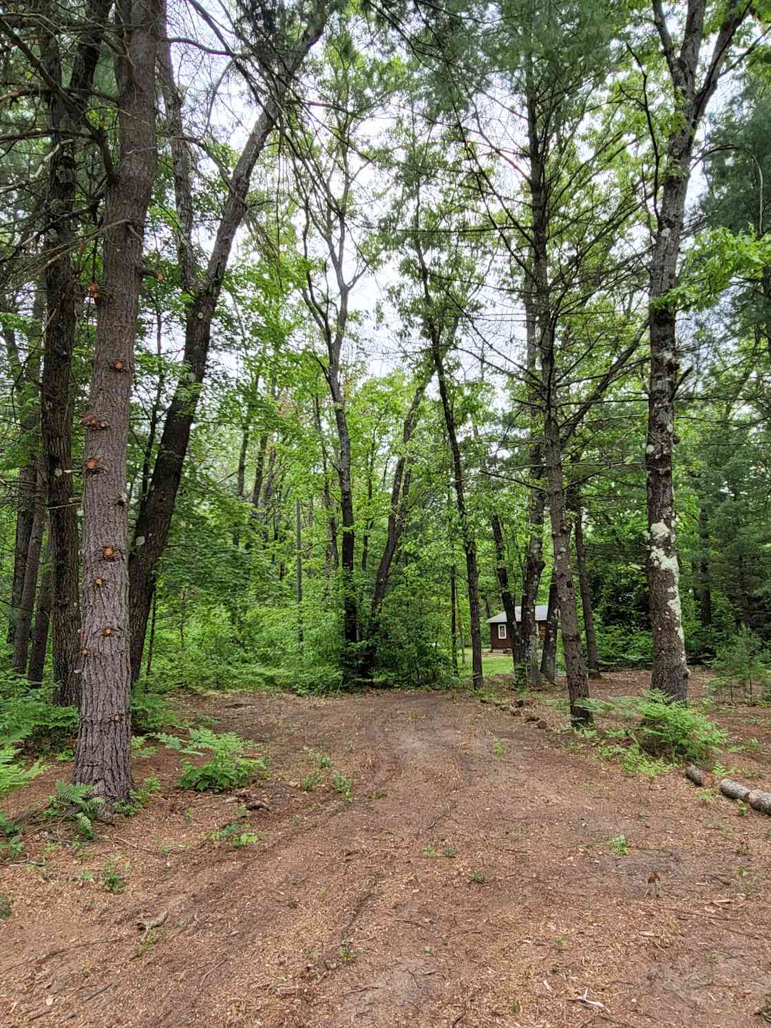 Trailerwood Hipcamp in White Cloud, Michigan