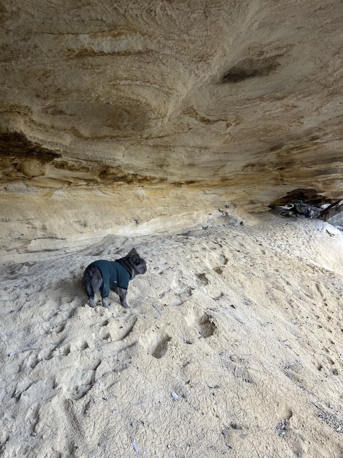 Boff enjoyed the caves