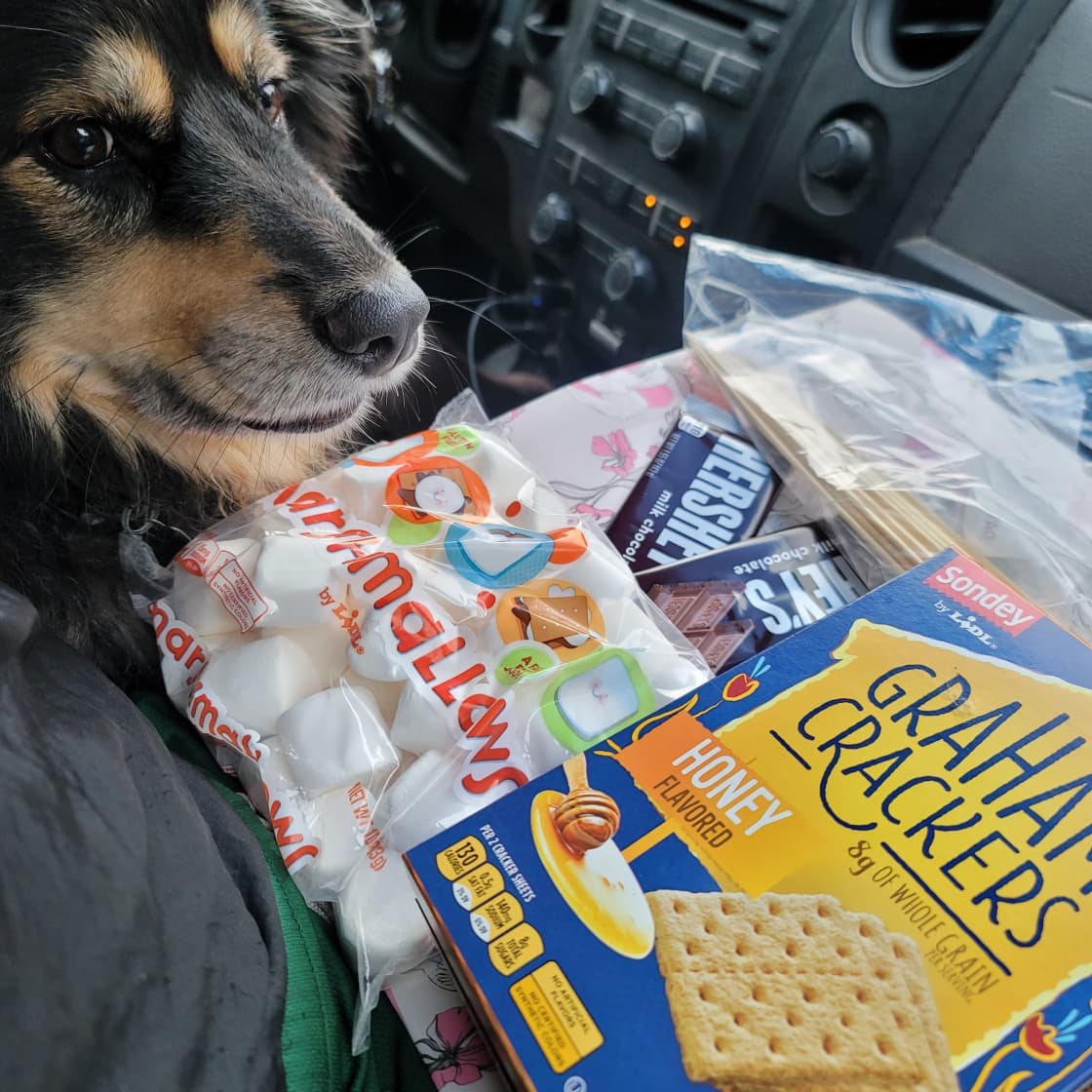 The smores kit and our pup