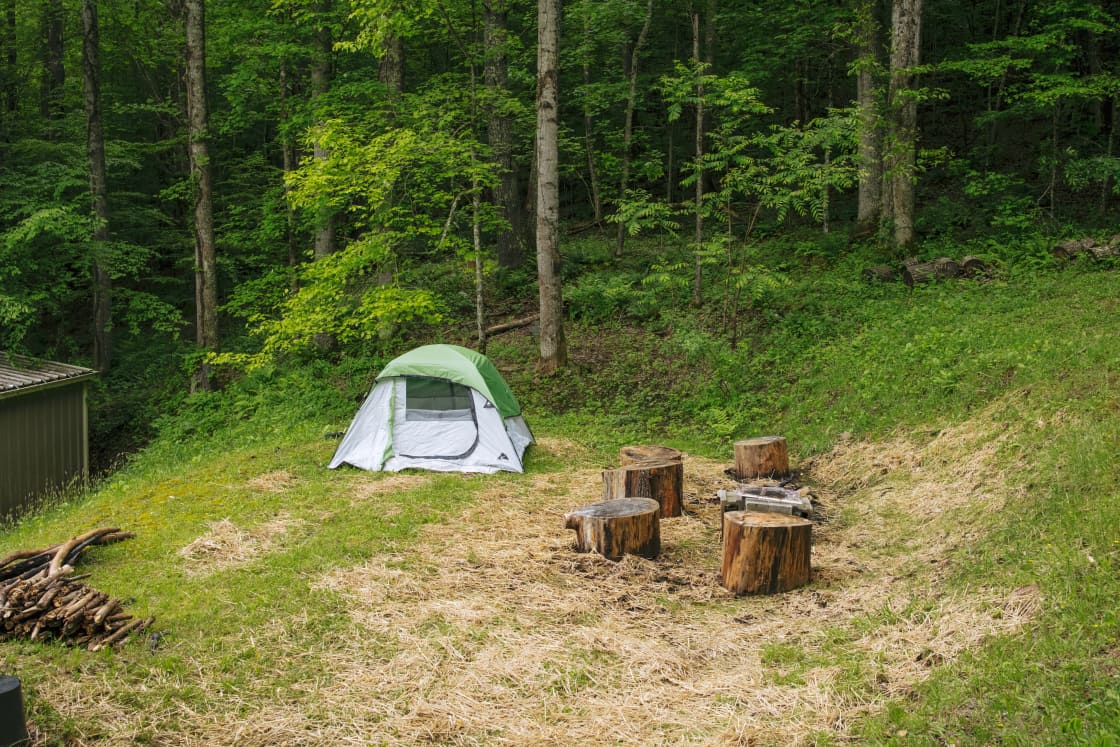 Bear Creek Mountain Camping