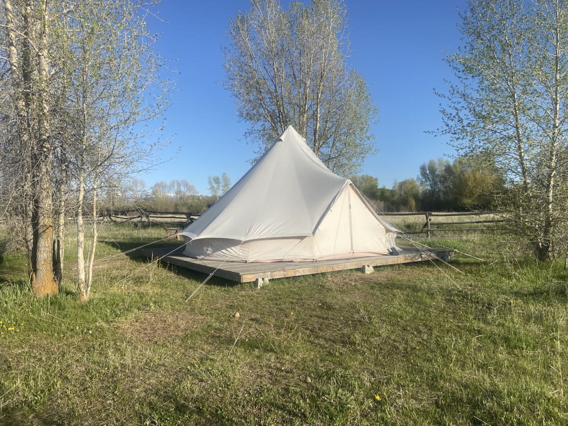Teton View Tent
