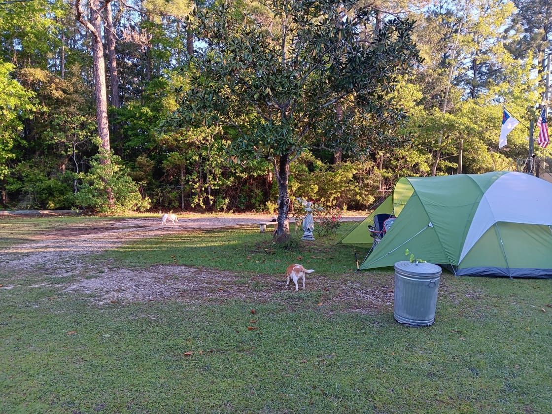 Certain dogs are not allowed please confirm your breed before bringing your dog must have dogs on leash when camping