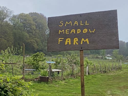 Small Meadow Farm
