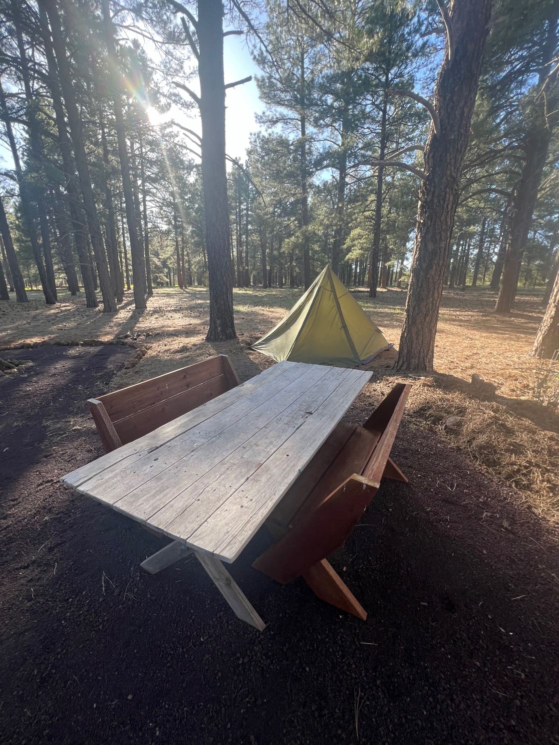 Picnic table and benches at your site. Nice flat place for setting up your tent. 
