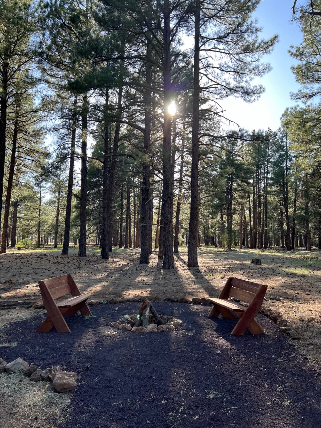 Close up of your private firepit with views of the pines and the National Forest. 