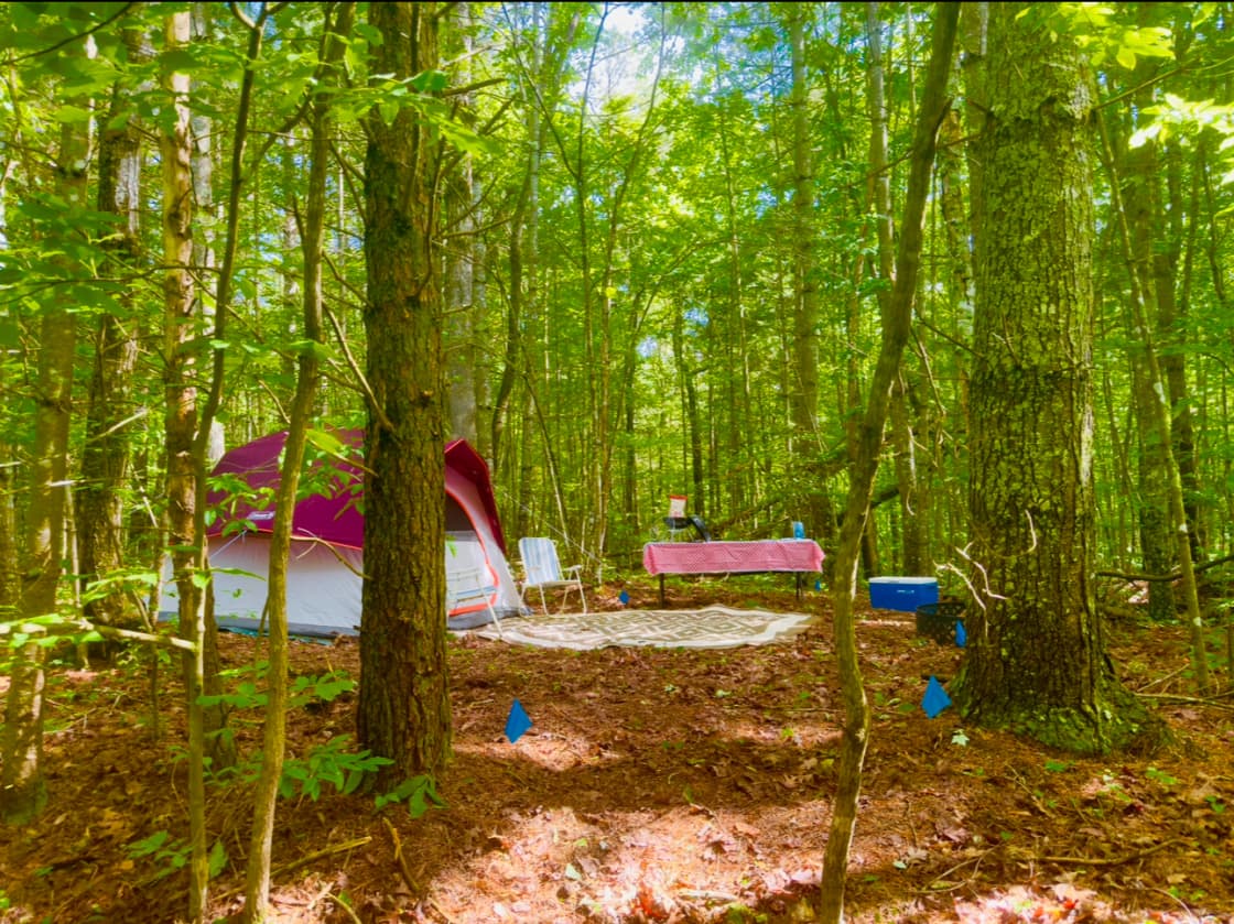 Serene Haven Retreat Campground