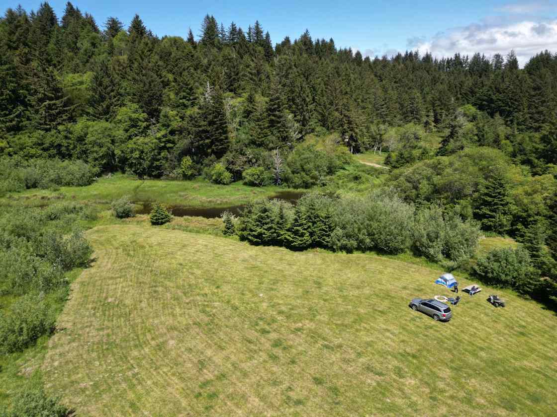Fennel Flats At The Orchard Hole Hipcamp in Sixes, Oregon