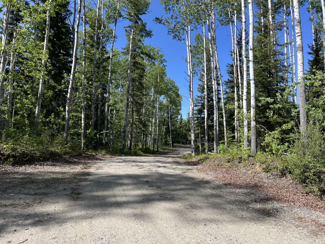 Driveway to the property