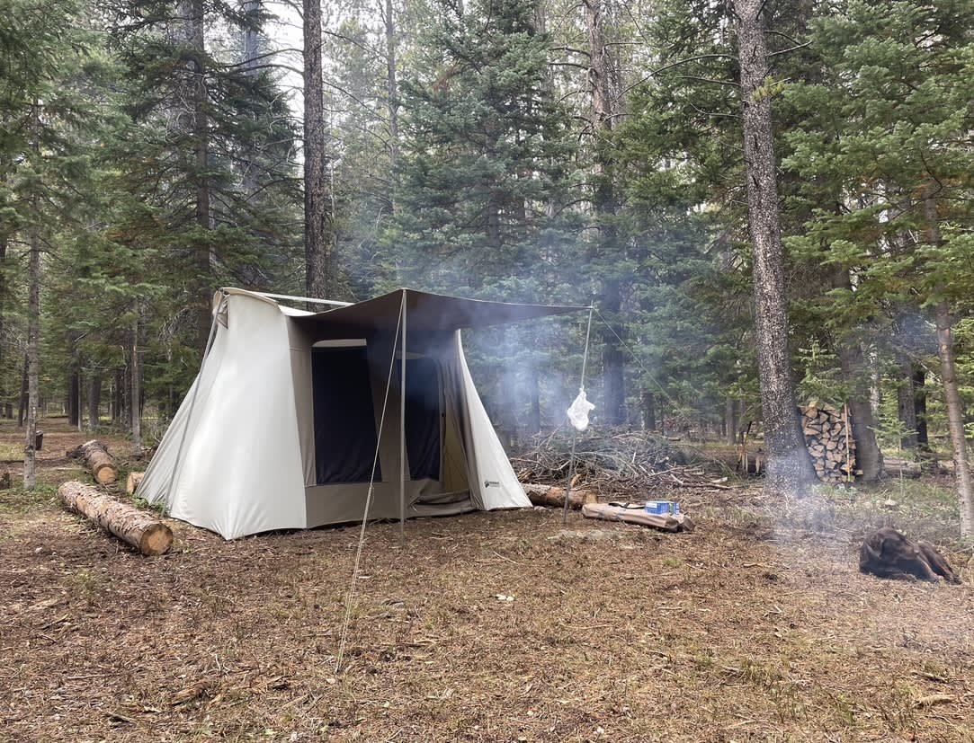 Mtn Wyo Tent Camping
