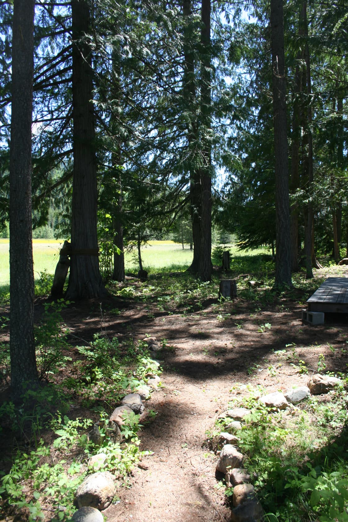 Riverfront Forested Campground