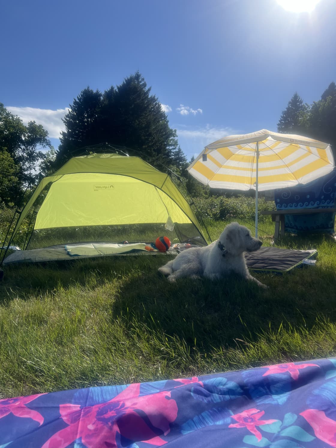 Fraserville Off-Grid Camping