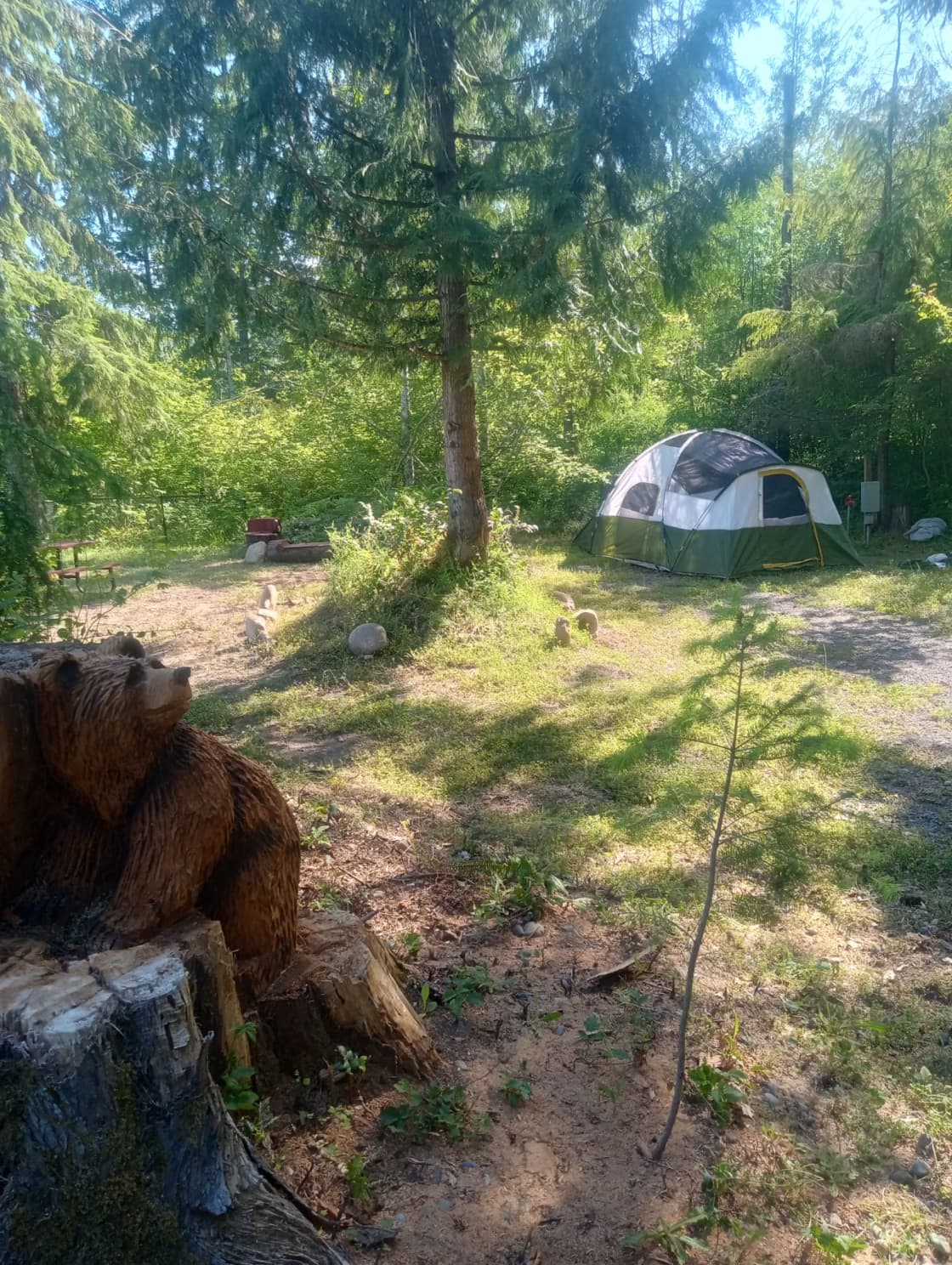 Riverside Camping Near Mt Rainier