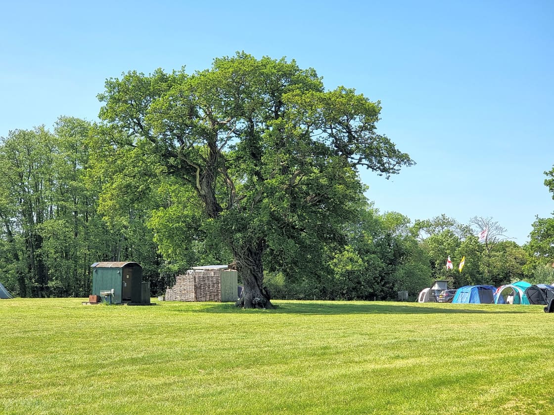 Snelling Farm Campsite