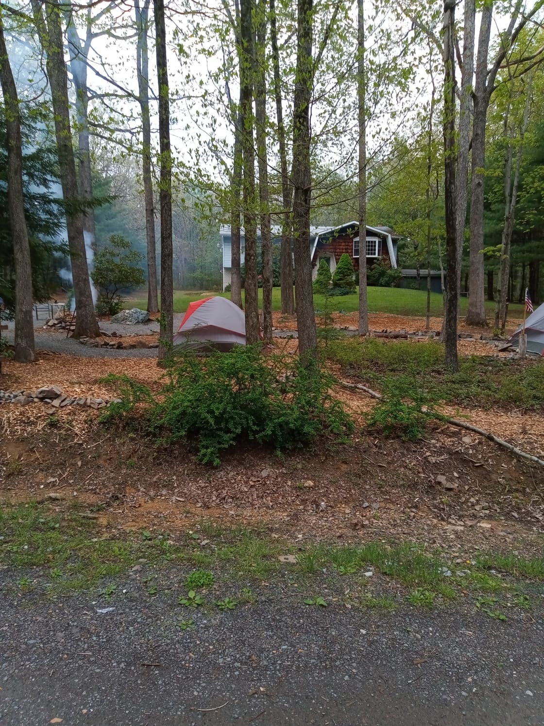 Mountain Campsite @ Bear Creek