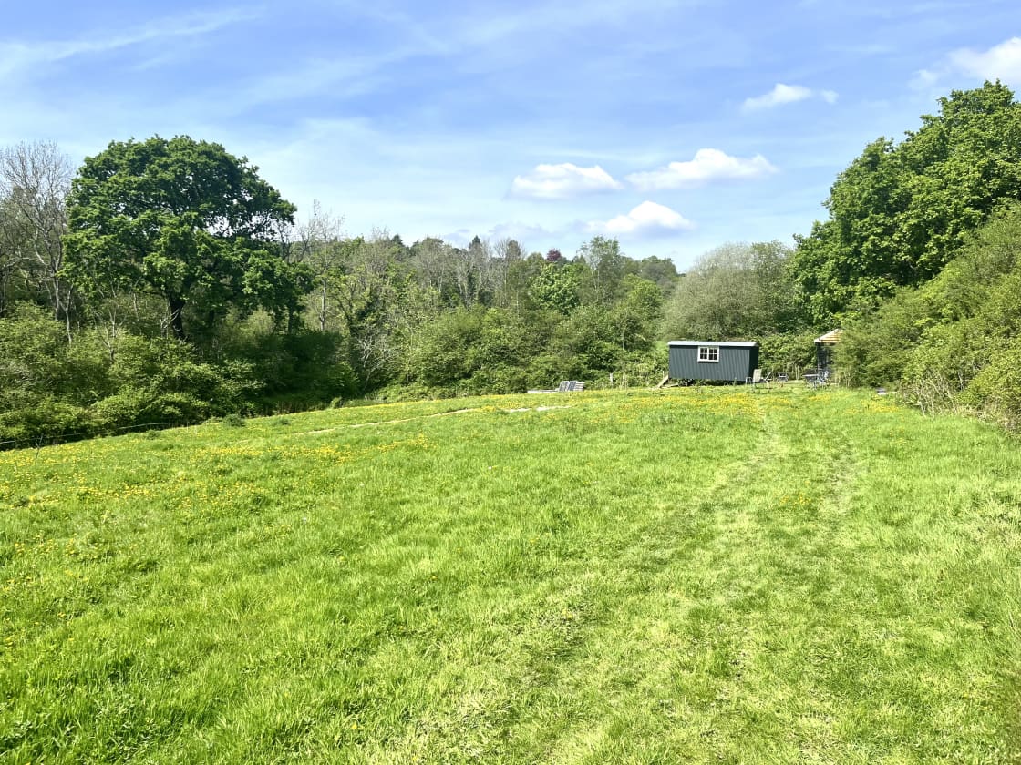 Fallow Coombe Glamping