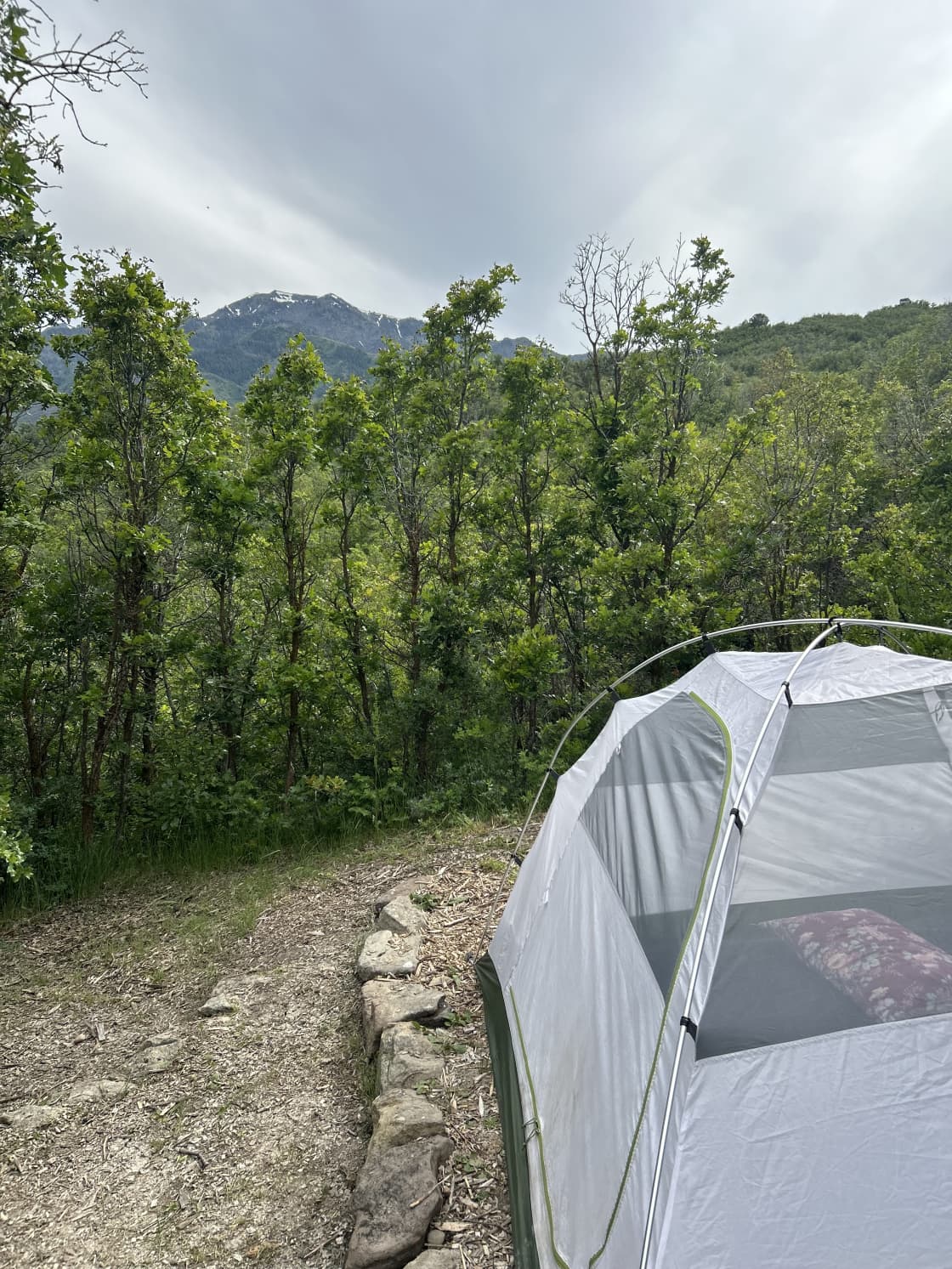 Mountain View Tent Sites(2)