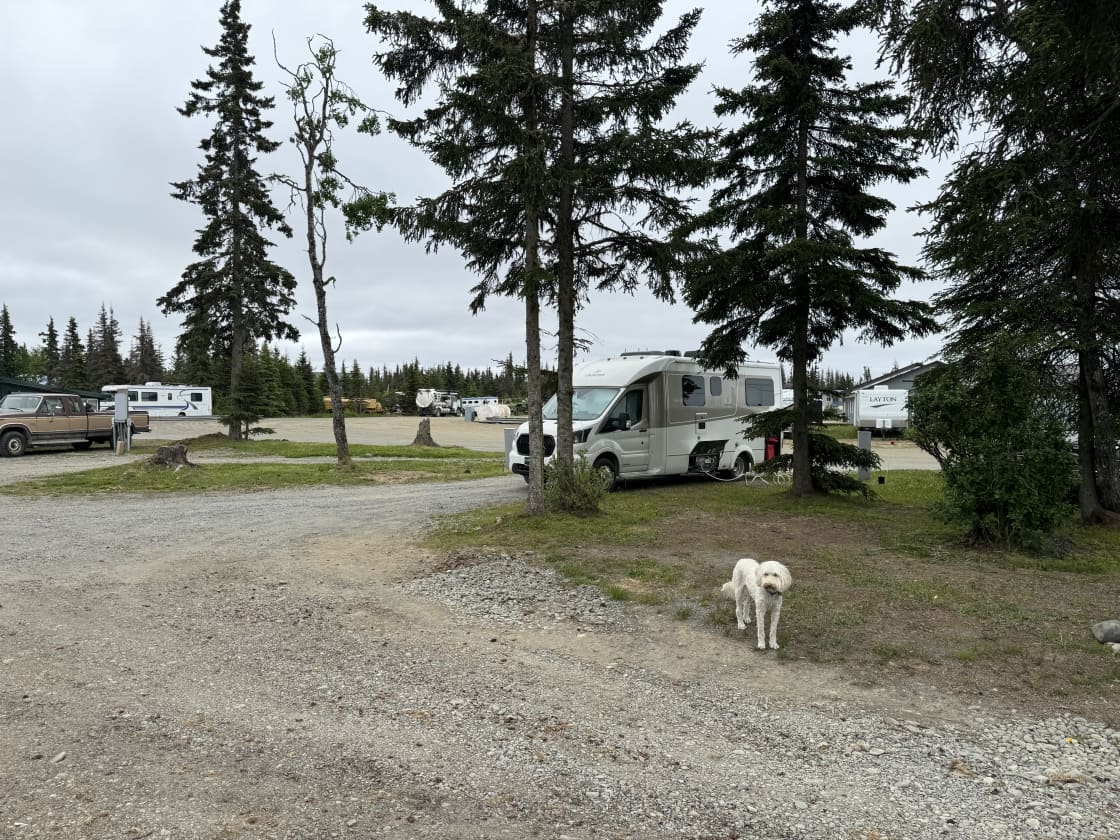 Albatross Campground RESERVATIONS
