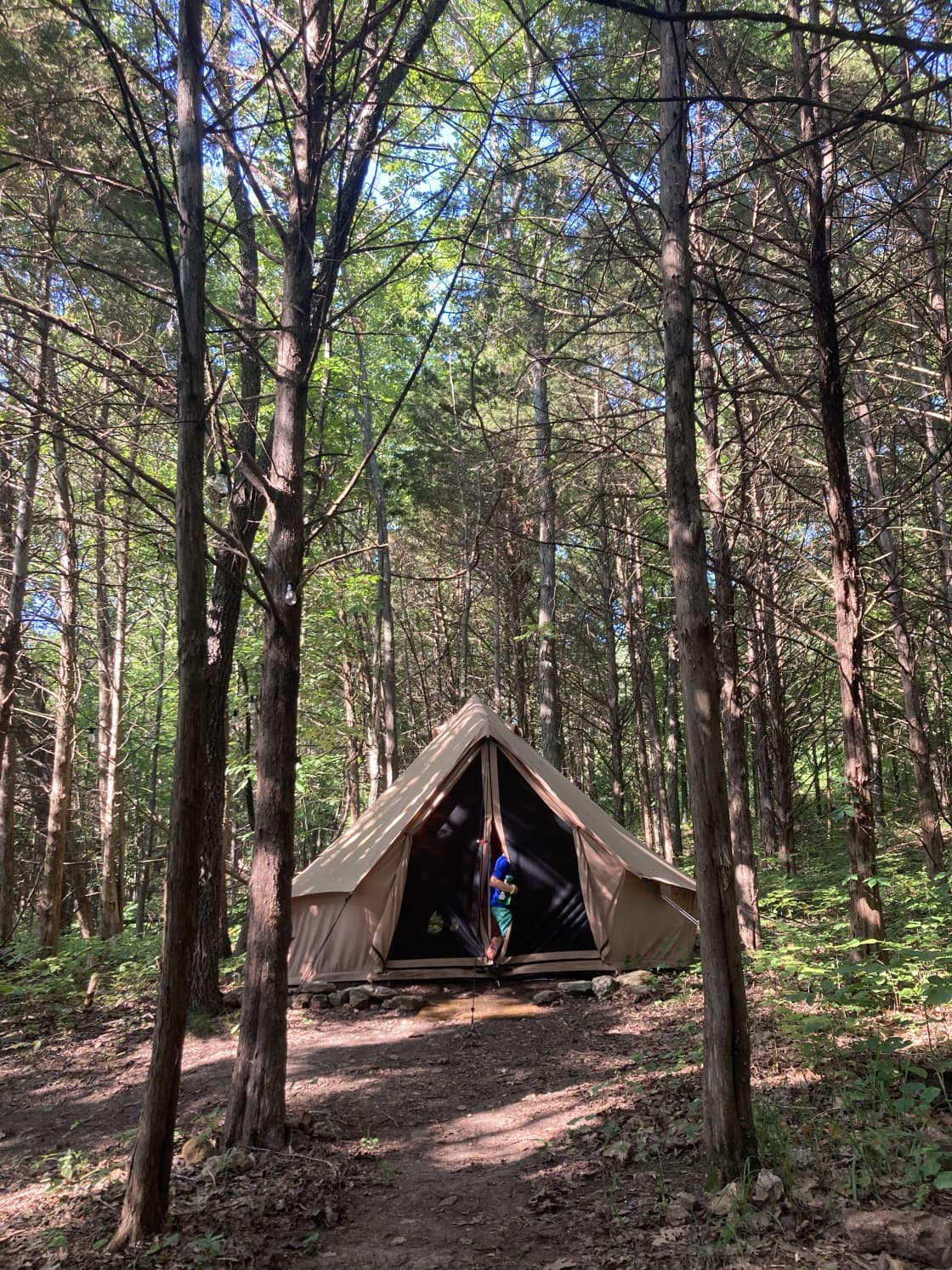 Canvas Tent in Private Woodland