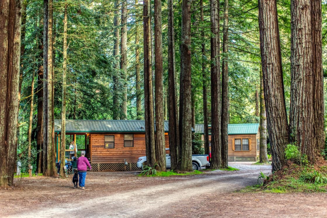 Ramblin' Redwoods Cabins