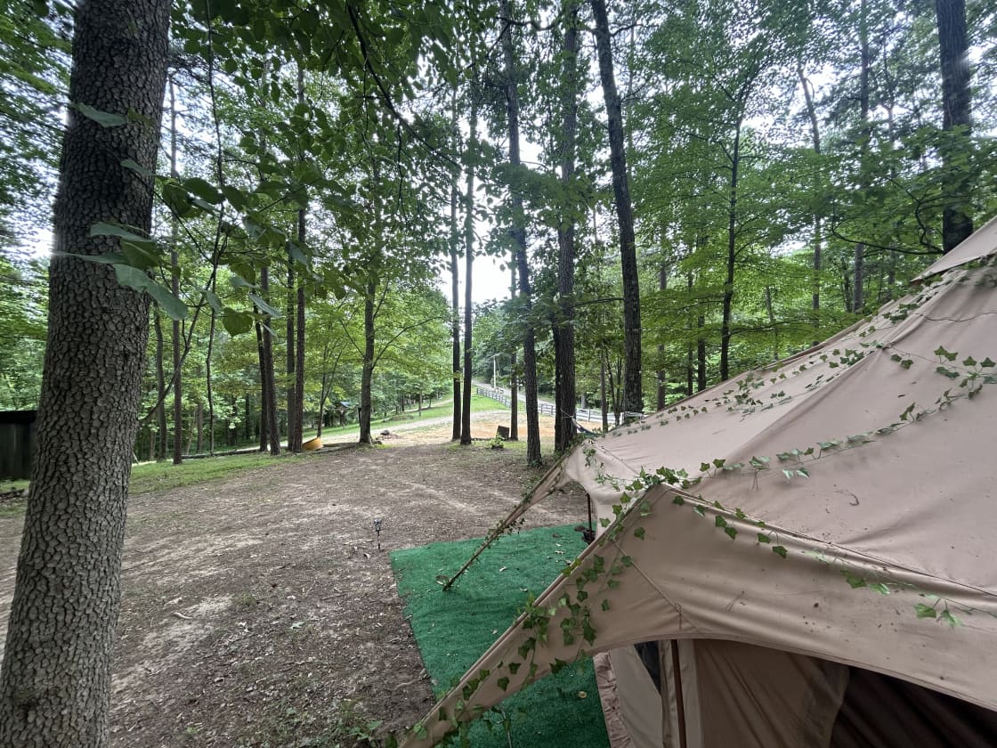 The wilderness yurt