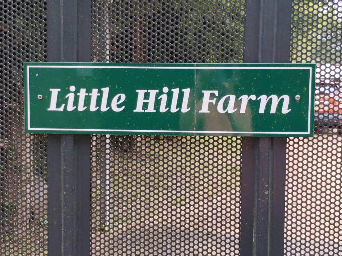 Little Hill Farm Camping