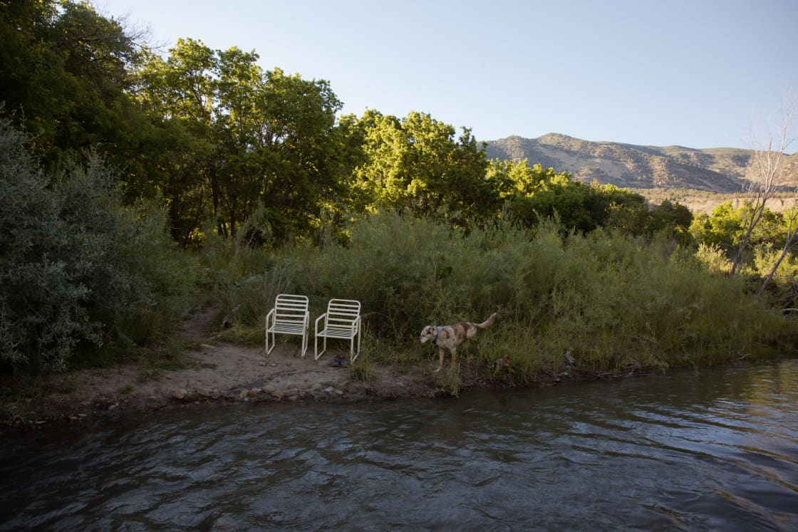 The Fox Feet site is right by Minnesota Creek and we set out two chairs so you can sit and enjoy all the beauties that nature holds.