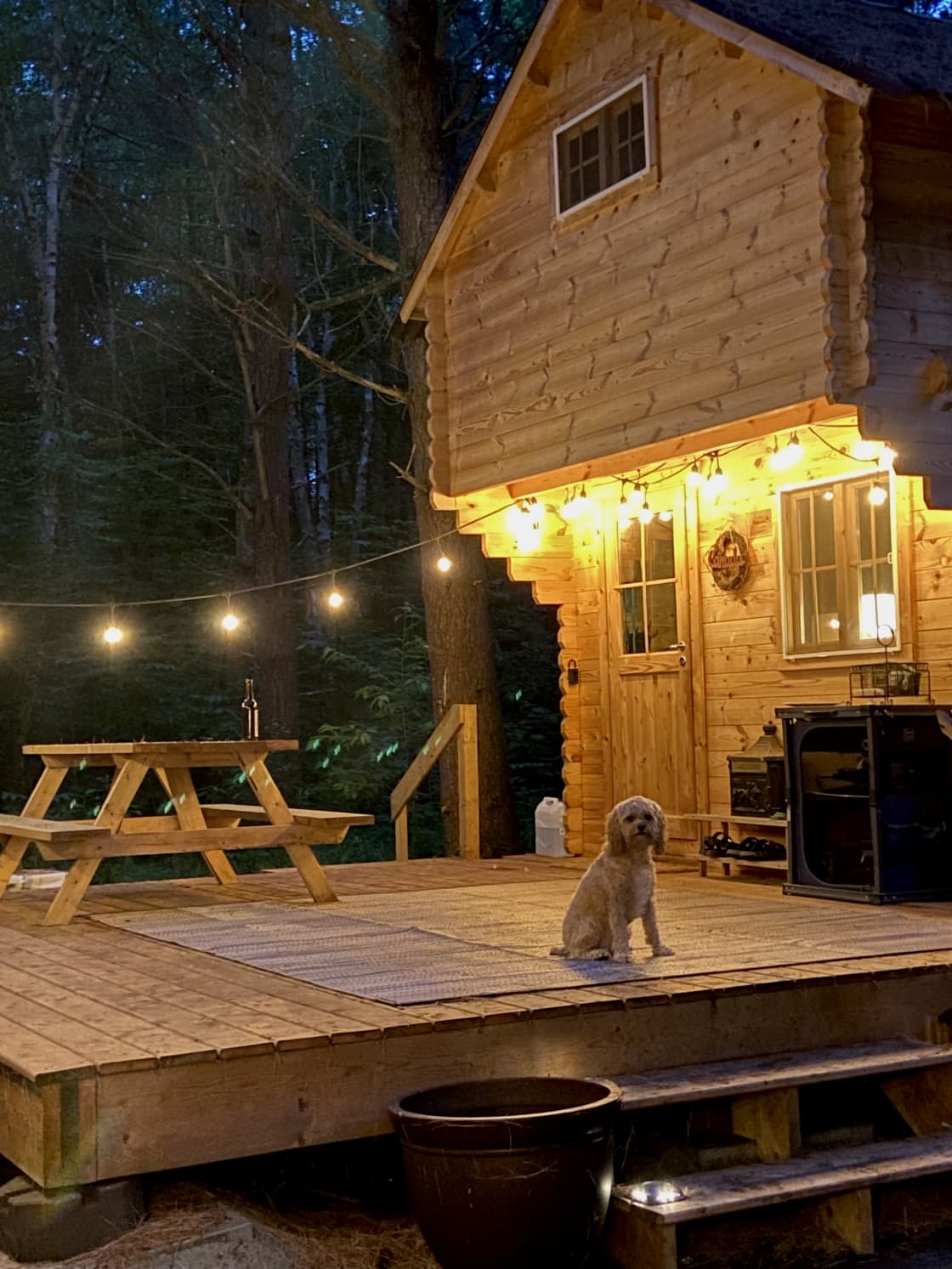 Cozy Cabin in the Woods