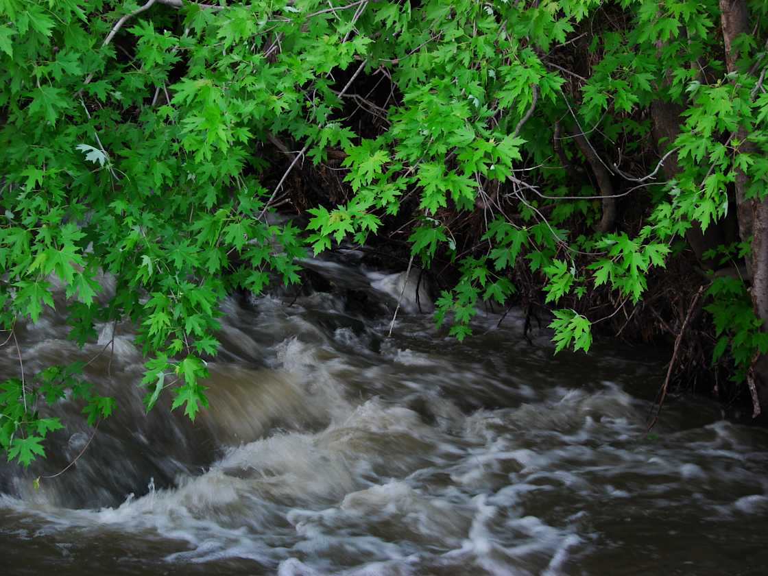 Ramsey Creek Natural Area