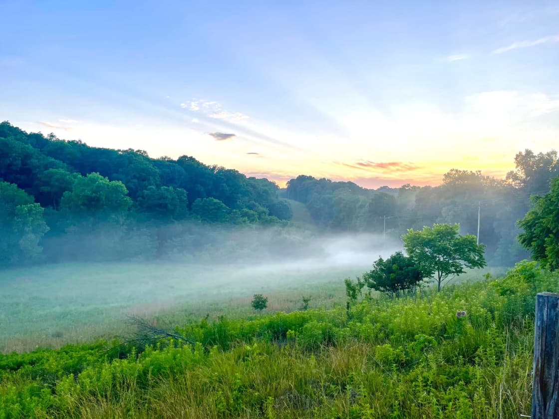 This valley as seen here from the camp site deck is always beautiful in the spring and fall as the fog rolls in.  In the summer, it is shining bright with thousands of fireflies from early June to early July.   