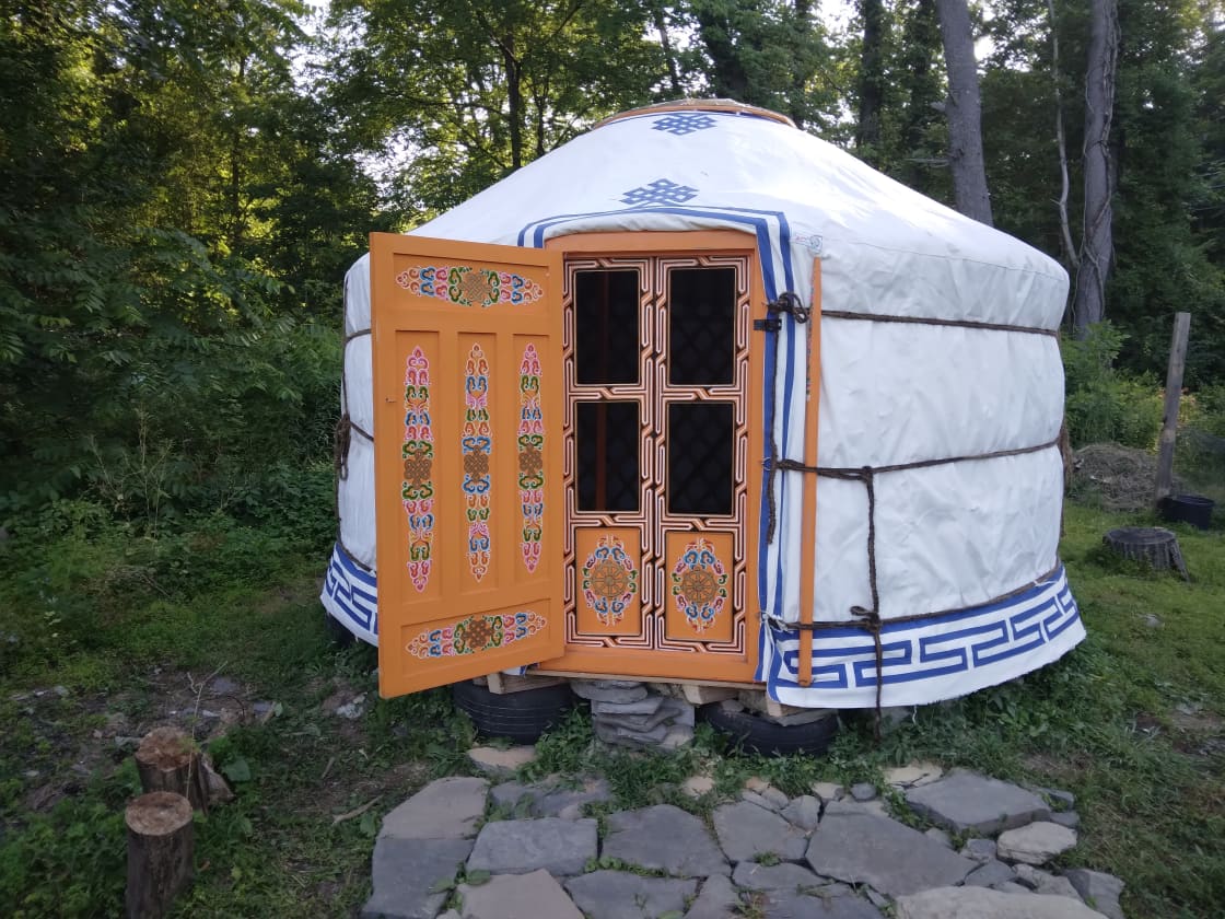 Mongolian yurt camping in backyard