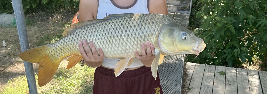 Carp caught off the fishing dock right next to campsite!