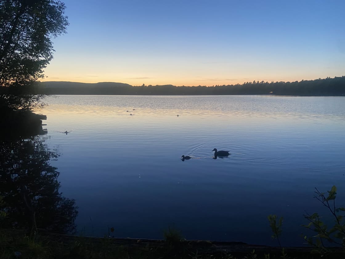 Little Wolf Pond Lake Front Getaway Hipcamp in Tupper Lake, New York