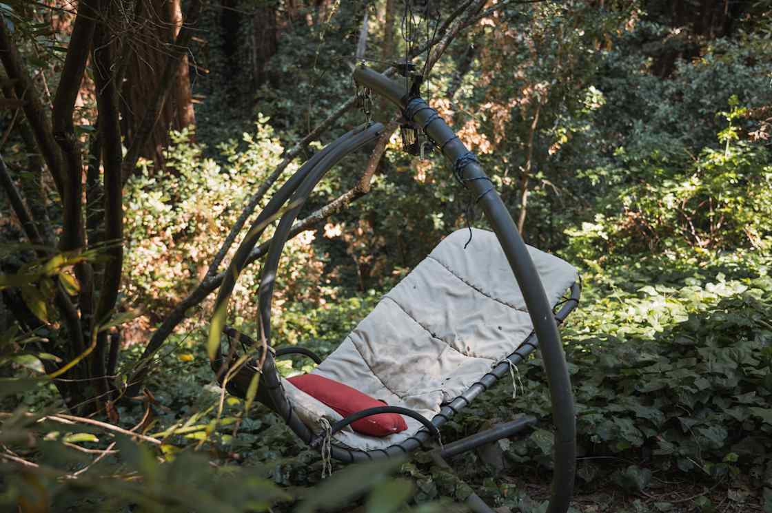Bella Foret (beautiful forest) Hipcamp in Portola Valley, California