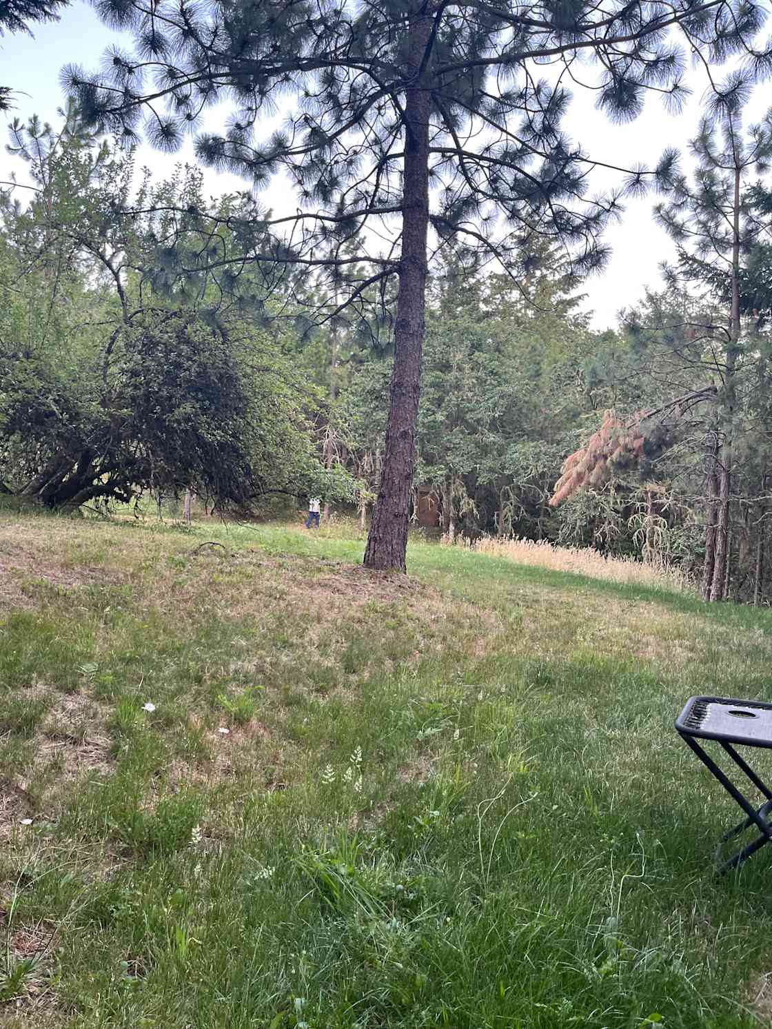 Fox Hollow Campsite Retreat